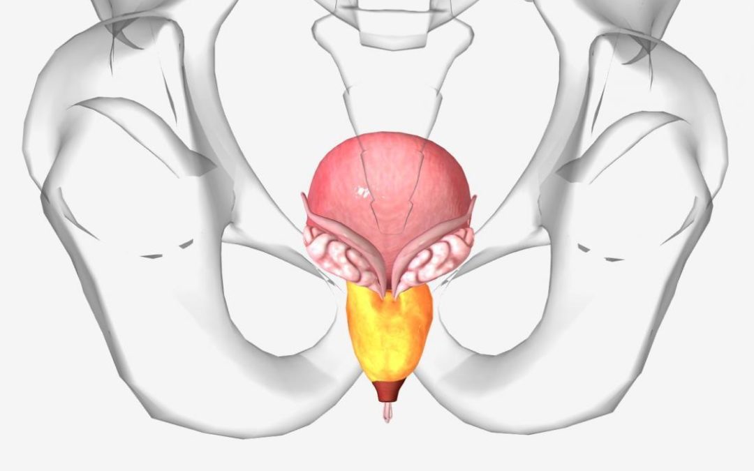 Crecimiento de próstata