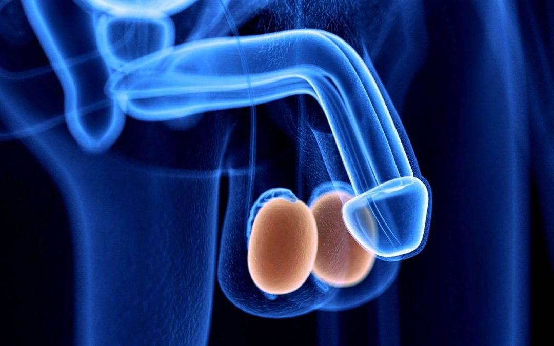 Causas de una ruptura testicular